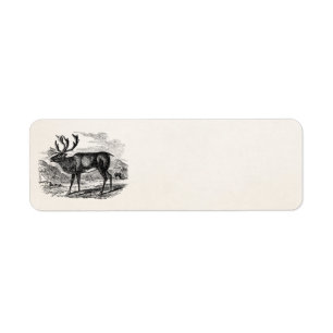 Vintages Ren-personalisierte Rotwild-Illustration