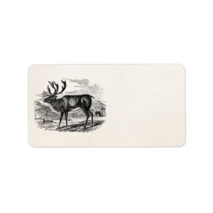 Vintages Ren-personalisierte Rotwild-Illustration Adressaufkleber