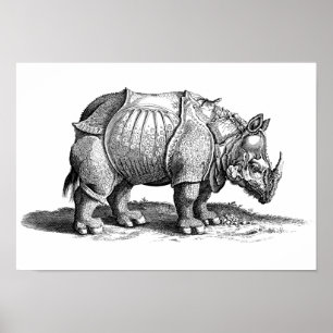 Vintages Rhino - Dürers Rhinozeros Poster