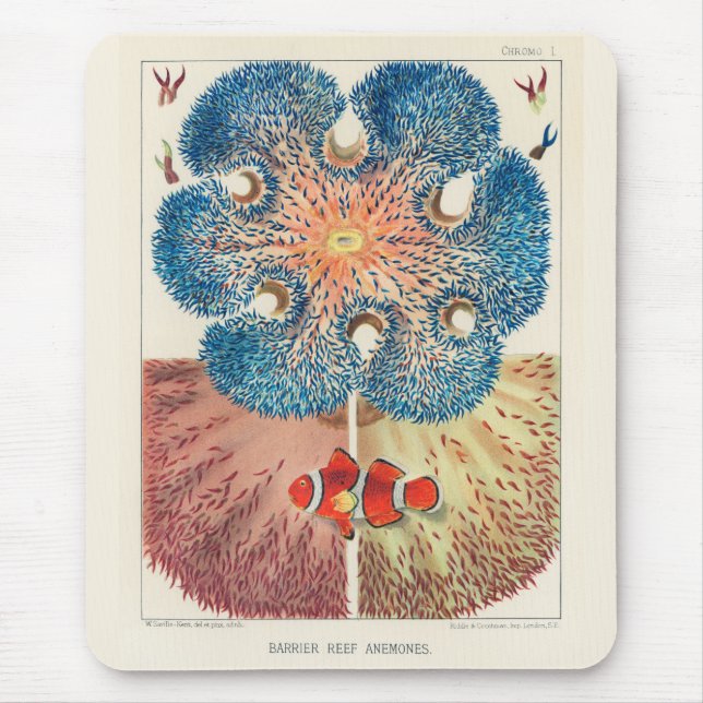 Vintages Riff Anemones Carol Fish Mousepad (Vorne)