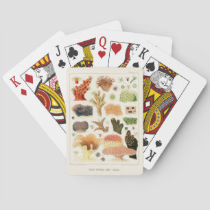 Vintages Riff der australischen Korallen Spielkarten