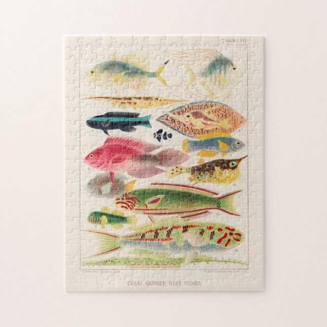 Vintages Riff der Great Barrier Reef aus Australie (Vertikal)