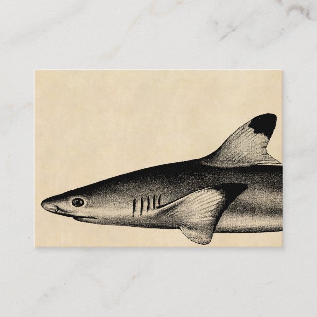 Vintages Riff-Haifisch-Illustrations-Schwarzes Visitenkarte (Vorderseite)