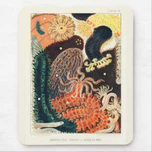 Vintages Riff Trepang oder Bêche-de-Mer Mousepad