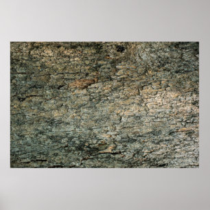 Vintages Rindenholz-Hintergrundabstract, grafische Poster