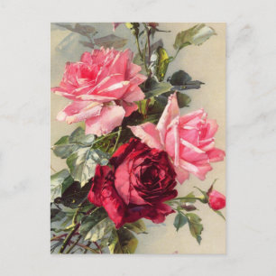 Vintages Rosa und Rote Rosen Postkarte