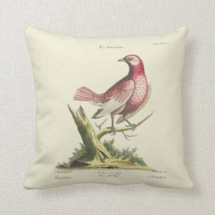 Vintages rosa Vogel-Kissen Kissen
