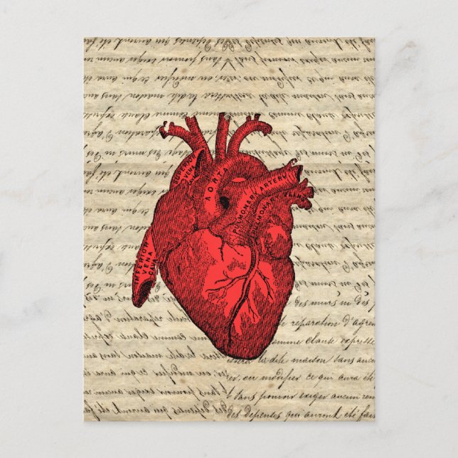 Vintages Rotes Herz Postkarte (Vorderseite)
