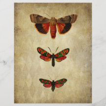 Vintages rotes Moths-Scrapbook