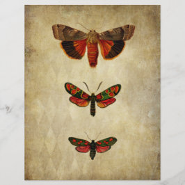 Vintages rotes Moths-Scrapbook