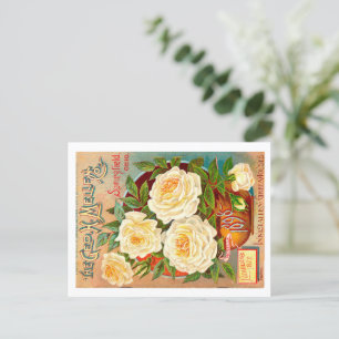 Vintages Saatgut Postkarte