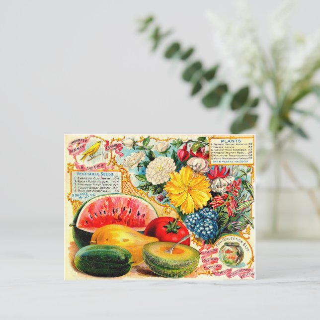 Vintages Saatgut Postkarte (Stehend Vorderseite)