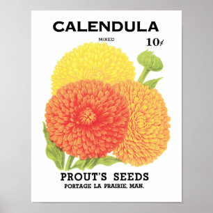 Vintages Saatgutpackungs-Label Art, Calendula-Blum Poster