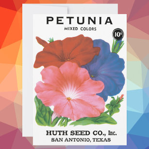 Vintages Saatgutpackungs-Label Art, Petunia-Blume