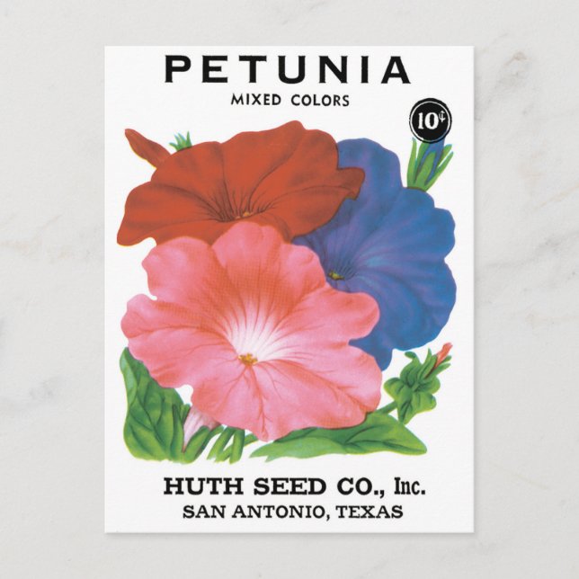 Vintages Saatgutpackungs-Label Art, Petunia-Blume Postkarte (Vorderseite)