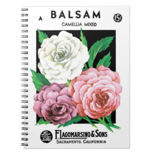 Vintages Saatgutpackungs-Label Kunst, Kamelien, Bl Notizblock