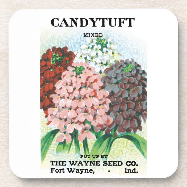 Vintages Saatgutpaket Kunst, Candytuft Garden Blum Getränkeuntersetzer (Vorderseite)