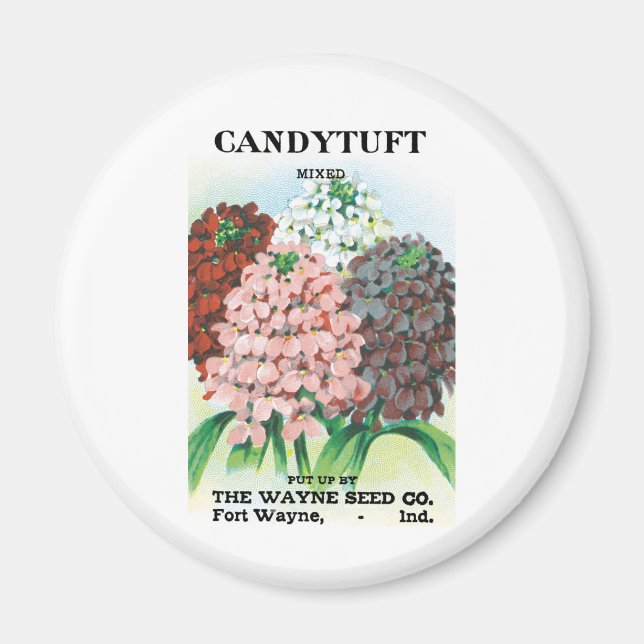 Vintages Saatgutpaket Kunst, Candytuft Garden Blum Magnet (Vorne)