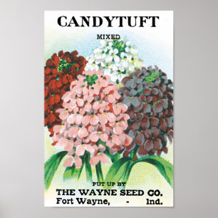 Vintages Saatgutpaket Kunst, Candytuft Garden Blum Poster