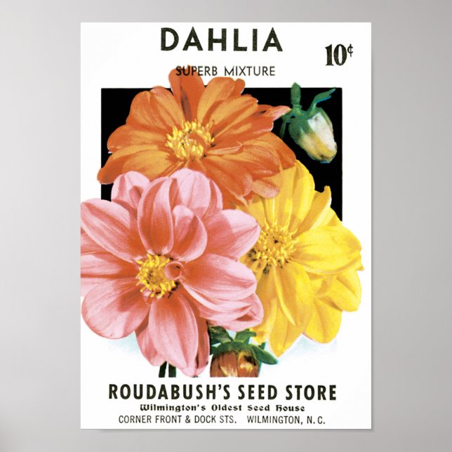 Vintages Saatgutpaket Kunst, Dahlia Garden Blume Poster (Vorne)