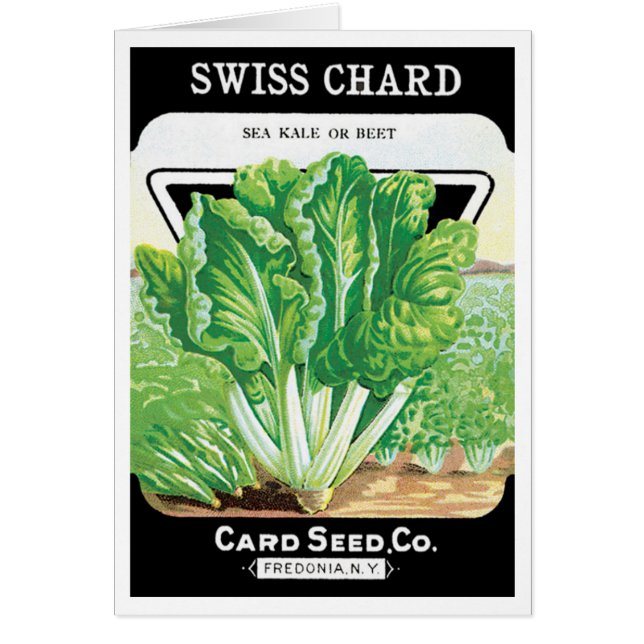 Vintages Saatgutverpackungs-Label Kunst, Schweiz S (Vorne)