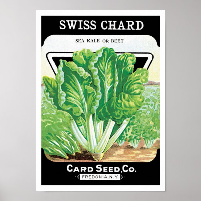 Vintages Saatgutverpackungs-Label Kunst, Schweiz S Poster (Vorne)