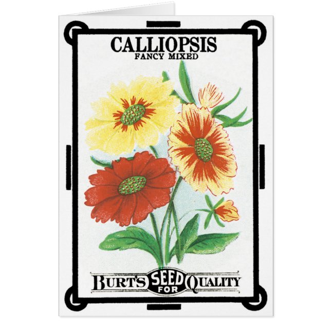 Vintages Saatgutverpackungslabel Art, Calliopsis B (Vorne)