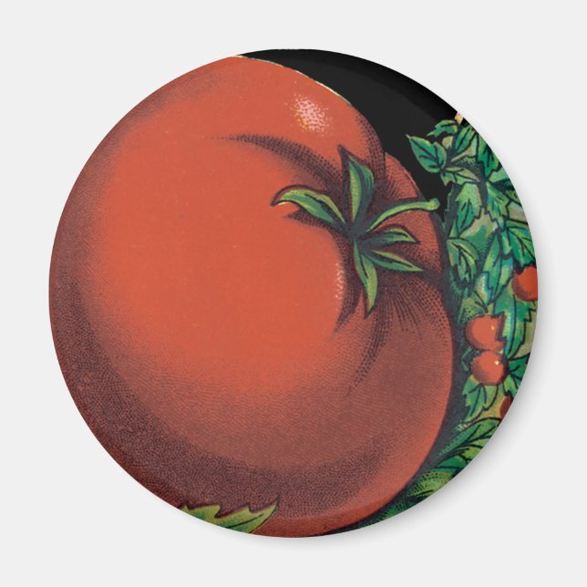 Vintages Saatgutverpackungslabel Art, Tomato Pomod Magnet (Vorne)