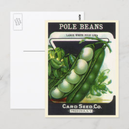 Vintages Saatgutverpackungsmaterial Art, Pole Lima Postkarte