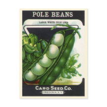 Vintages Saatgutverpackungsmaterial Art, Pole Lima