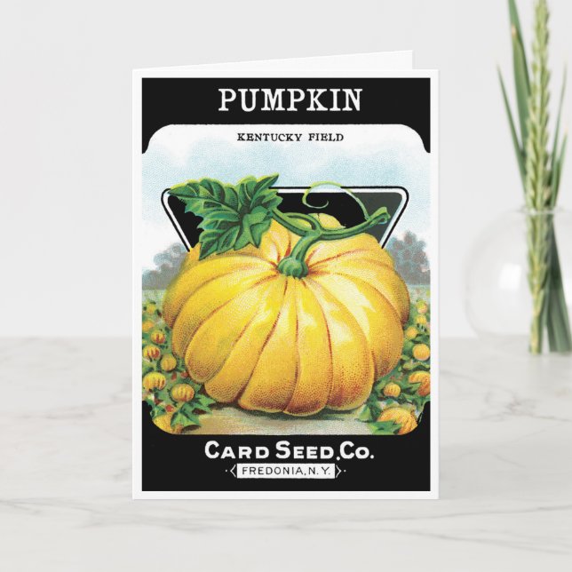 Vintages Saatpacketikett Art, Halloween Pumpkin Karte (Vorderseite)
