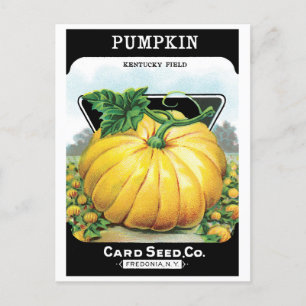 Vintages Saatpacketikett Art, Halloween Pumpkin Postkarte