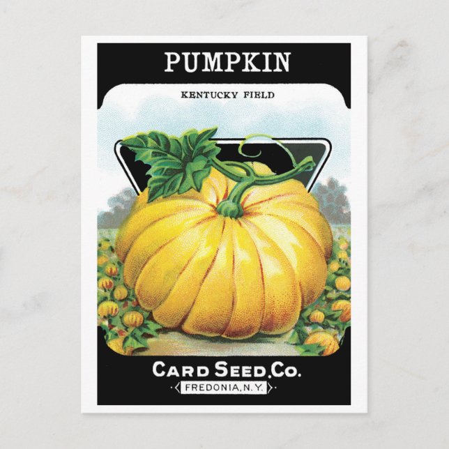 Vintages Saatpacketikett Art, Halloween Pumpkin Postkarte (Vorderseite)