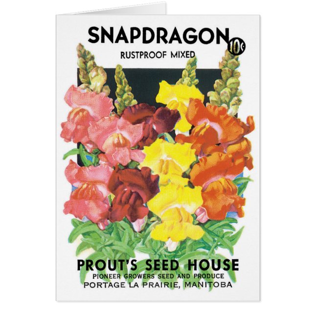 Vintages Saatpacketikett Art, Snapdragon-Blume (Vorne)