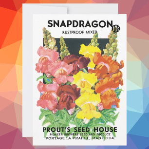 Vintages Saatpacketikett Art, Snapdragon-Blume