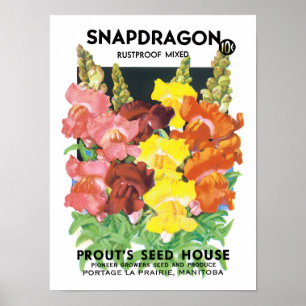 Vintages Saatpacketikett Art, Snapdragon-Blume Poster