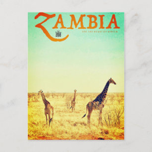 Vintages Sambia Travel Postcard Postkarte