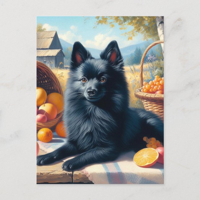 Vintages Schipperke Welpenbild Postkarte (Vorderseite)