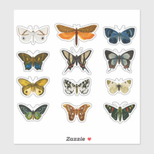 Vintages Schmetterling Set 1 Aufkleber - Klassisch
