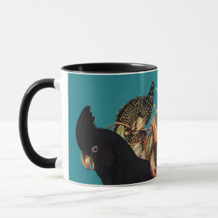 Vintages Schwarzes Cockatoo Elizabeth Gould 1800 Tasse