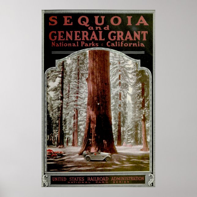 Vintages Sequoia Nationalpark Illustration Poster (Vorne)