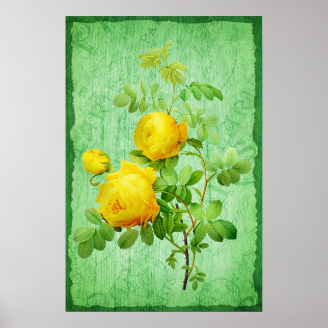 Vintages Shabby Chic Gelbe Rosen Grüner Hintergrun Poster (Vorne)