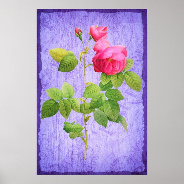 Vintages Shabby Chic Rosa Rosen auf Lilac Poster (Vorne)