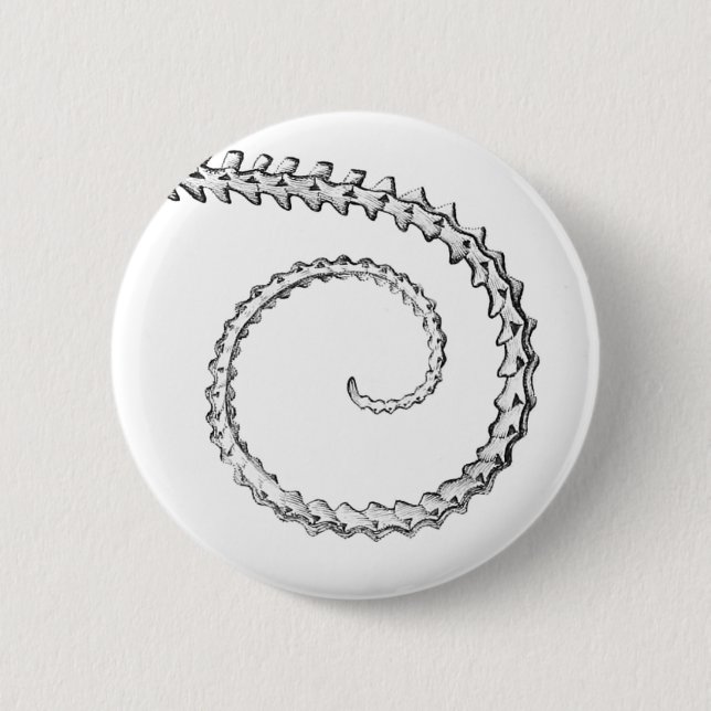 Vintages Skelett Button (Vorderseite)