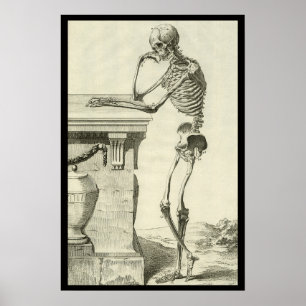 Vintages Skelett, menschliche Anatomie von Denis D Poster