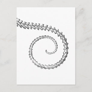 Vintages Skelett Postkarte