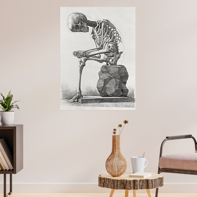 Vintages Skelettanatomie-Poster Poster (Wohnzimmer 3)