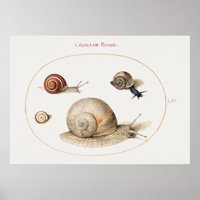 Vintages Snails Poster (Vorne)