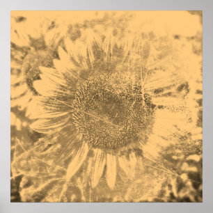 Vintages Sonnenblumengemälde #2 - Plakate