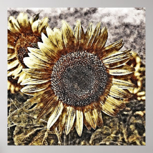 Vintages Sonnenblumengemälde #4 - Plakate